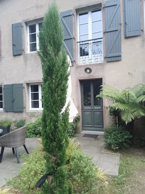 In the Pays des Gaves, brand new cottage, rated 3 stars - Image 1