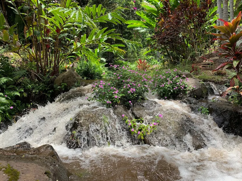 Inspired 1-BR, Magic Gardens, Stream and Waterfall - Image 1