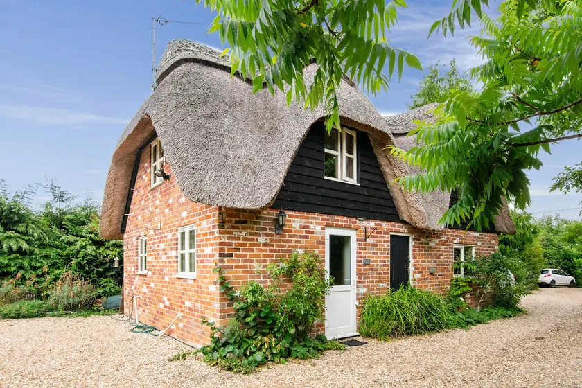 Charming thatched cottage near New Forest - Image 1