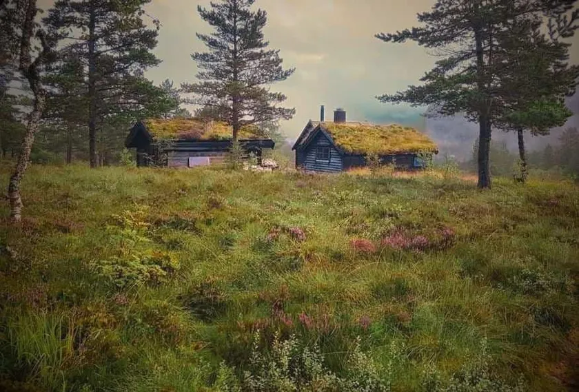 Cozy off-grid cabin at Hellesætre – stunning views - Image 1