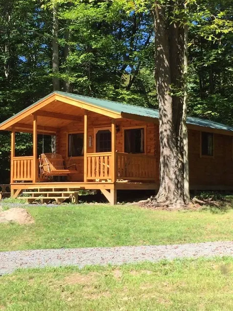 Maple Leaf Charming log cabin in the woods UPGRADED WITH FIBER OPTIC INTERNET - Image 1