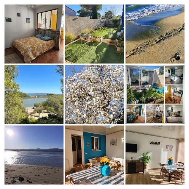 The song of turtledoves - Image 1