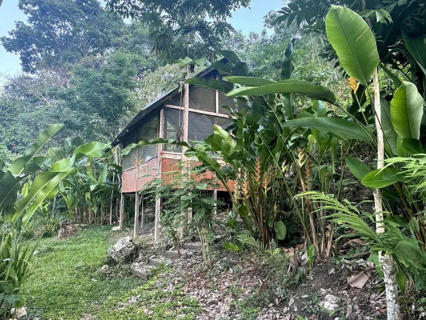 Jungle Cabin Mayan Experience - Near Palenque Site - Image 1
