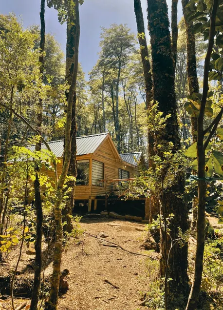 Los Pitiwes Cabin | Coñaripe | Forest & Hot Springs - Image 1
