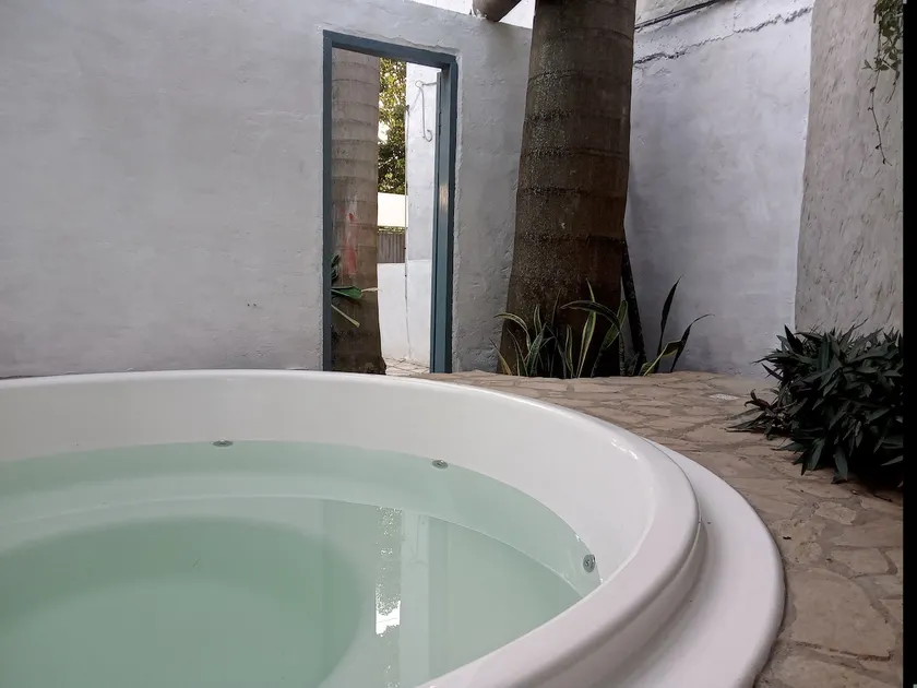 Large spaces, terrace, spa pool and Land Art - Image 1