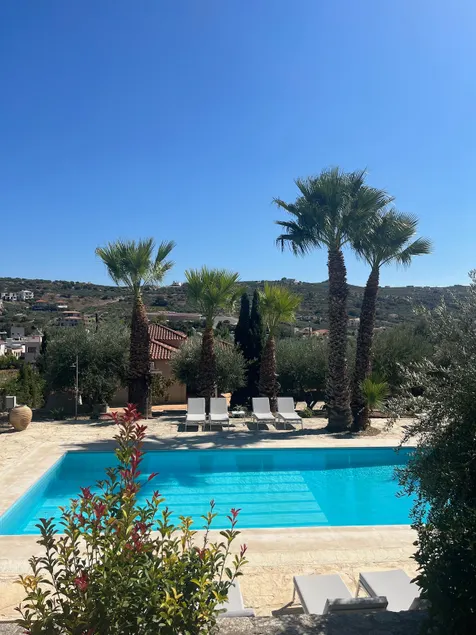 The Olive Grove Villa with private swimming pool - Image 1