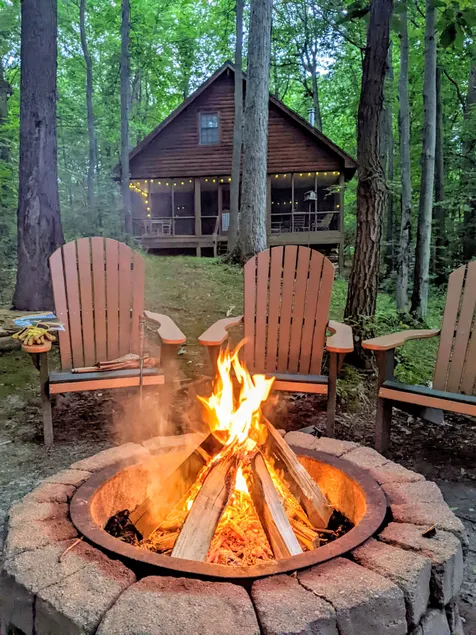 Lakside log cabin w/ kayaks & firepit - Image 1