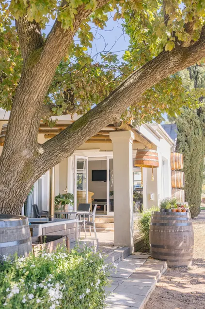 Doran Vineyards - Image 1