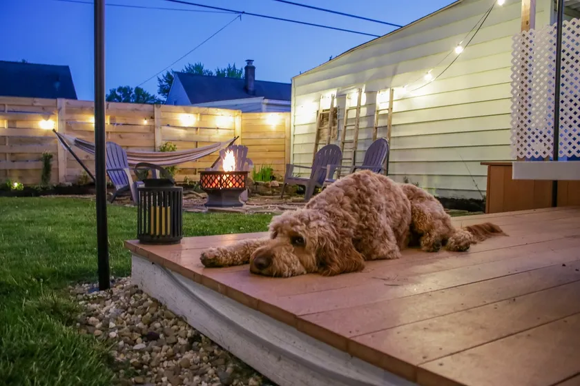 Kamm’s Corner Urban Garden Home - Image 1