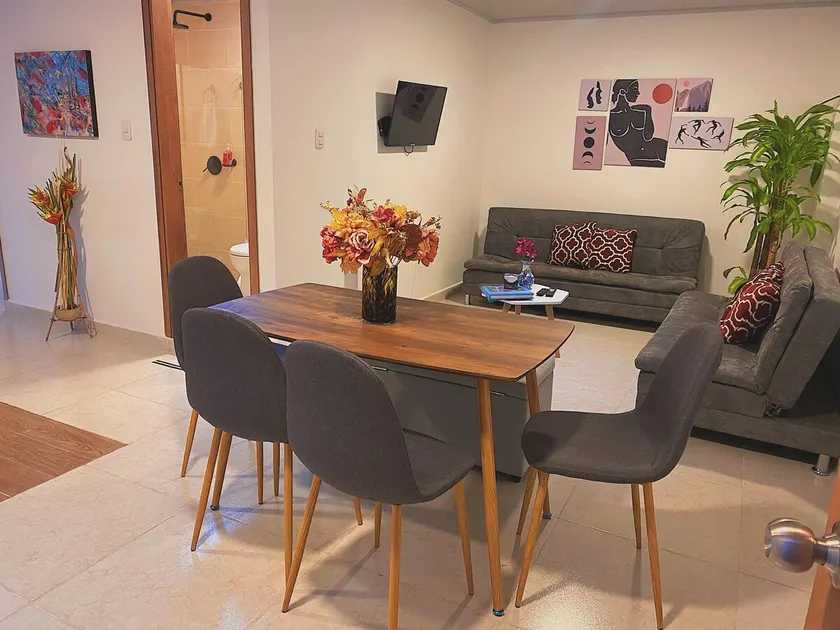 Large apartment in downtown Santa Rosa - Image 1