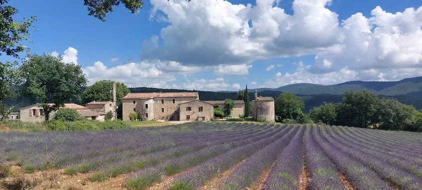 Le Cosy Luberon - Come - Image 1