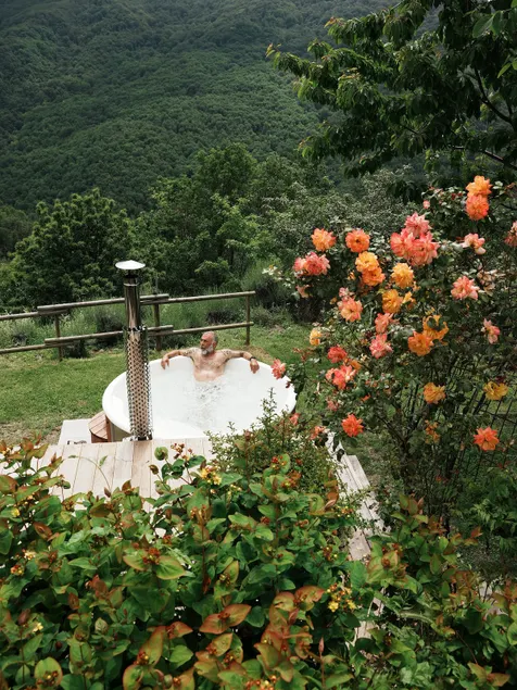artistic alpine pasture set amidst wild nature - Image 1