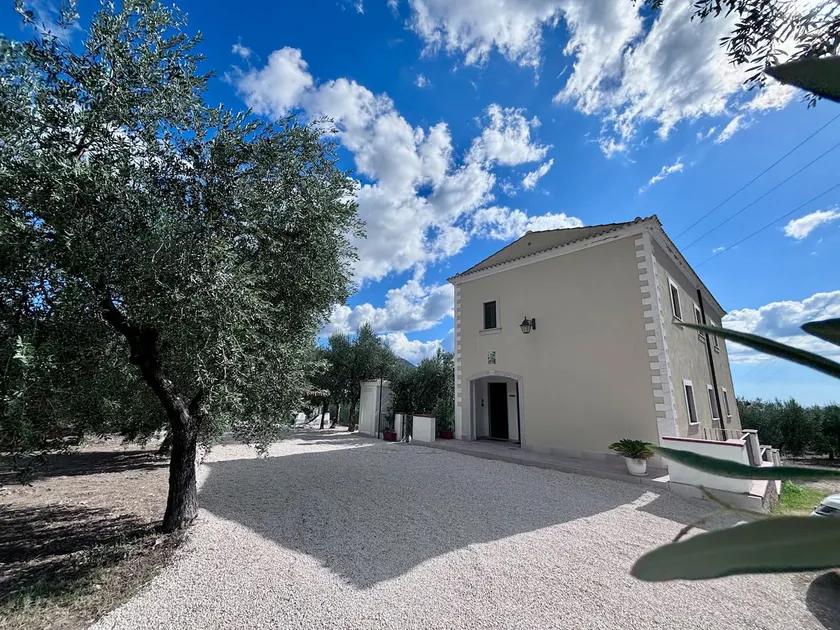 Mont - House surrounded by olive trees - Image 1