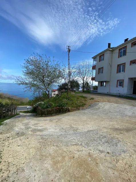 Ms. Semiha's mansion - Image 1