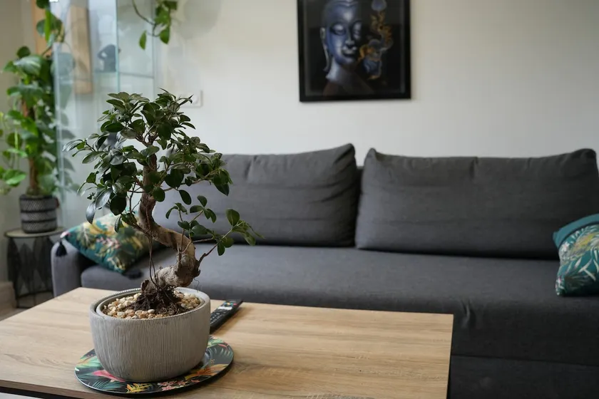 accommodation near orly airport - Image 1