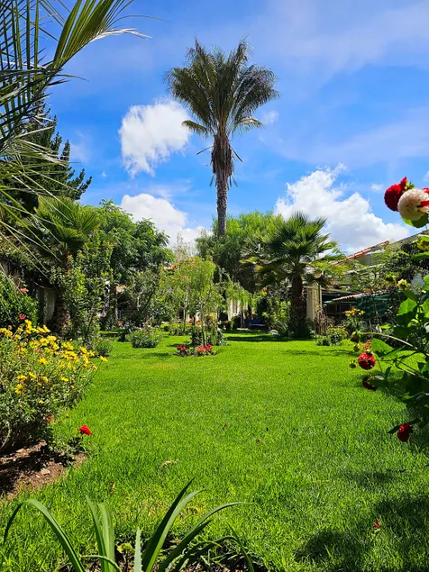 Apartment with a garden - Image 1