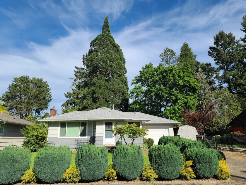 Sequoia Cottage - Image 1