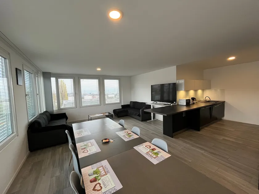 Lovely apartment with jacuzzi near EPFL - Image 1