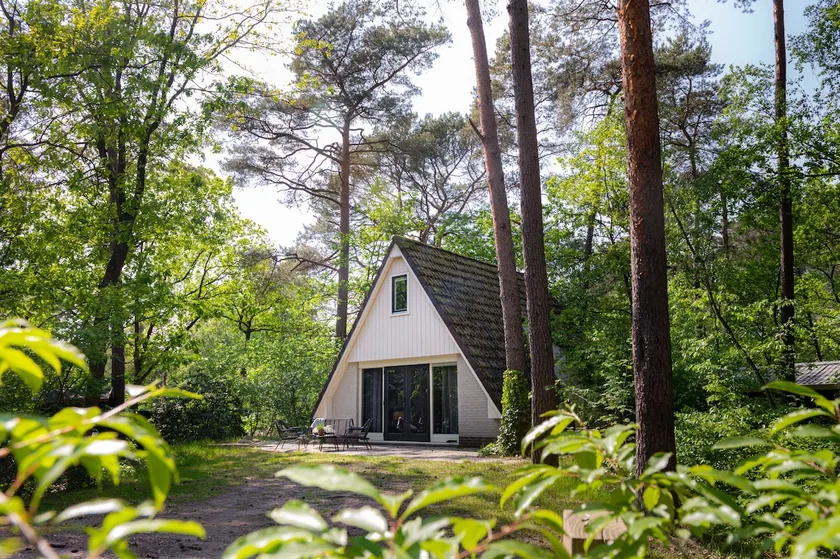 Vacation home Magnolia Veluwe - Image 1