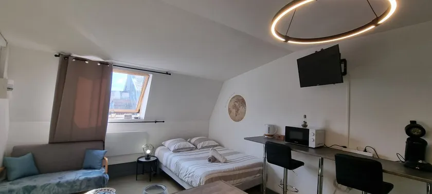Nina – Renovated, secure parking, Cité Congrès, cozy 26 m² - Image 1