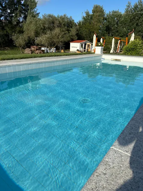 The old mill with a pool - Image 1