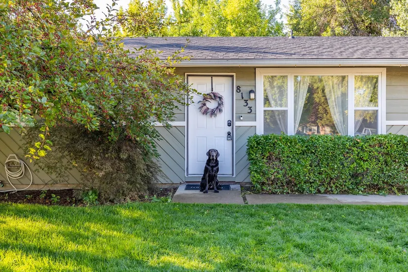 Charming Boise Home with Arcade room and yard - Image 1
