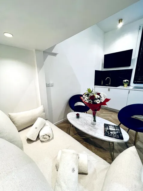 Luxury in Paris La Villette - Image 1