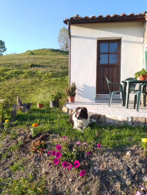 Casa El Collau I - Image 1