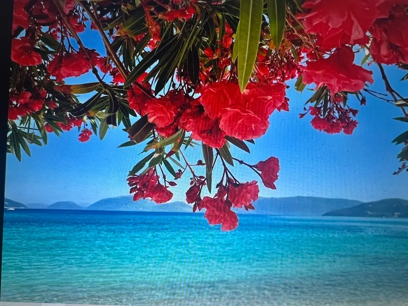 ALKYONI-Magnificent Seaview -Waterfront-110sq m- Beautiful decoration-1st floor - Image 1