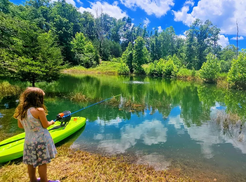 8-Acre Escape: Fishing Pond, Waterfalls, Disc Golf - Image 1