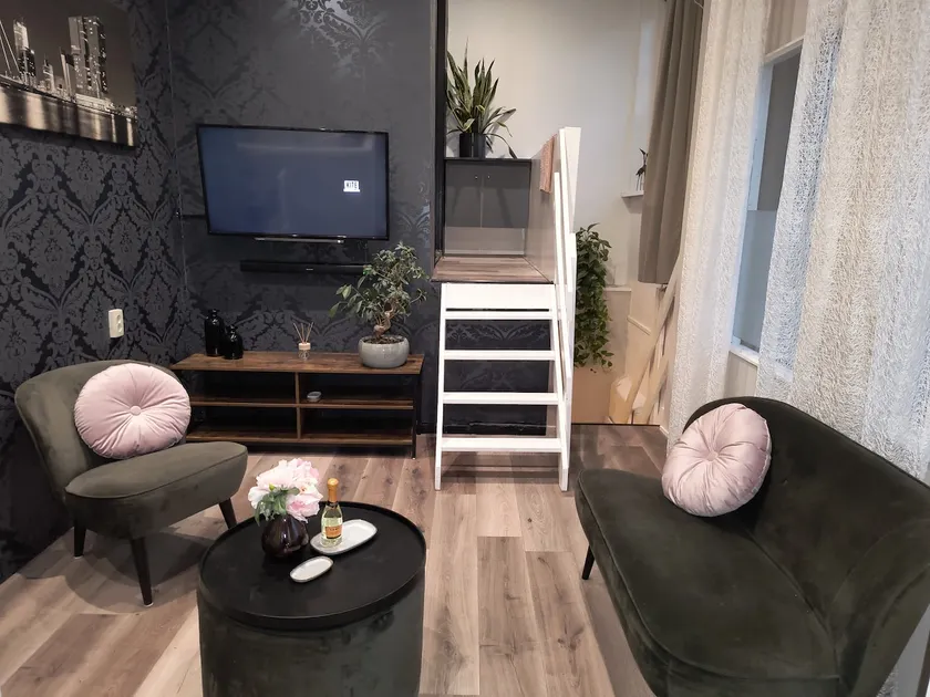 Independent apartment, Rotterdam south/Ahoy. - Image 1