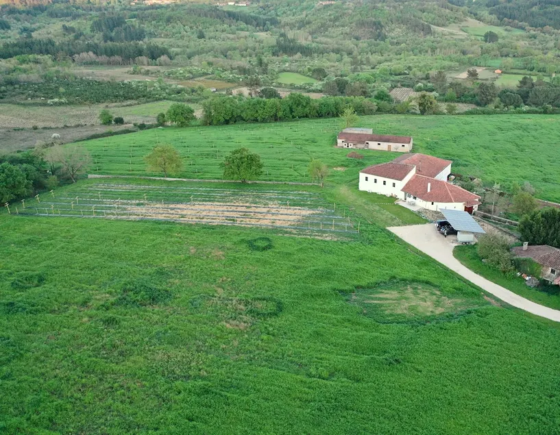 Casa Mato: Nature and Pets in Souto Alegre - Image 1