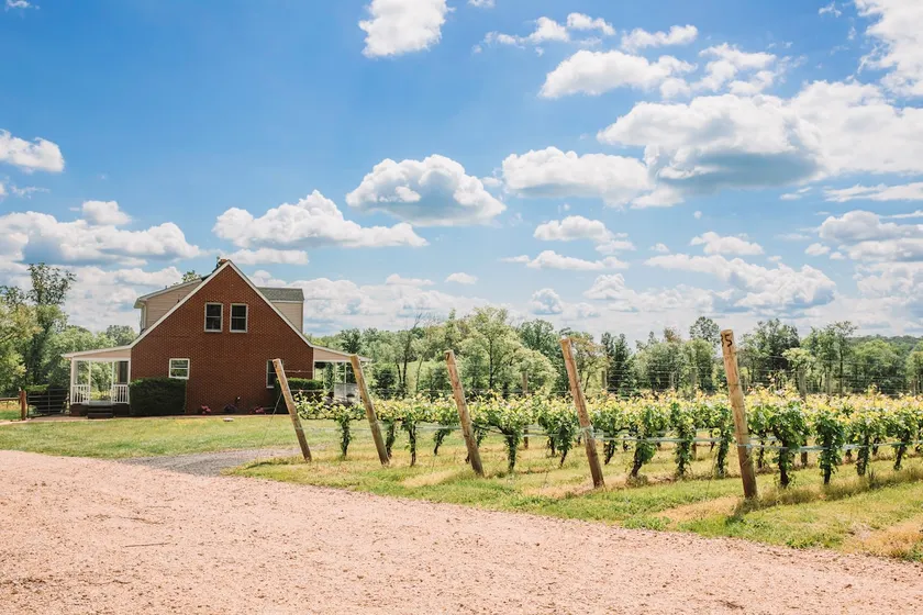 Cozy Vineyard Cottage w/ BBQ & Scenic Views - Image 1