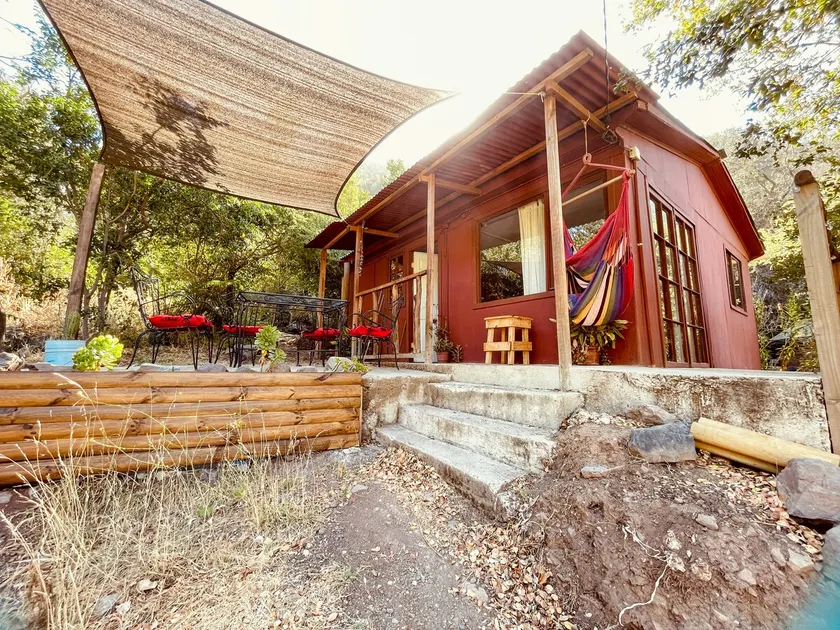 Cabin in native forest - Image 1