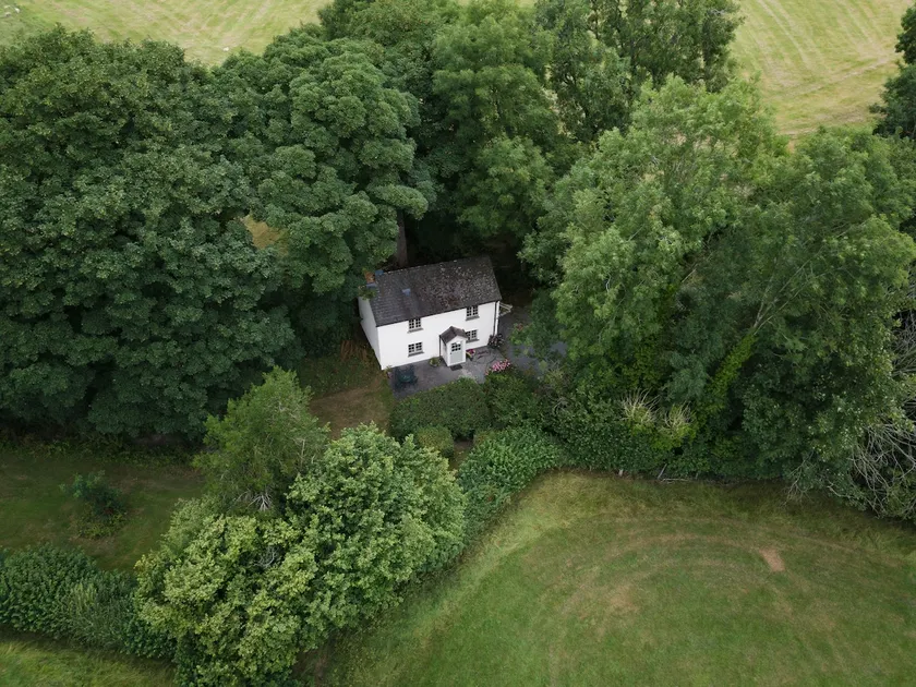 Cosy vineyard cottage in sublime secluded scenery - Image 1