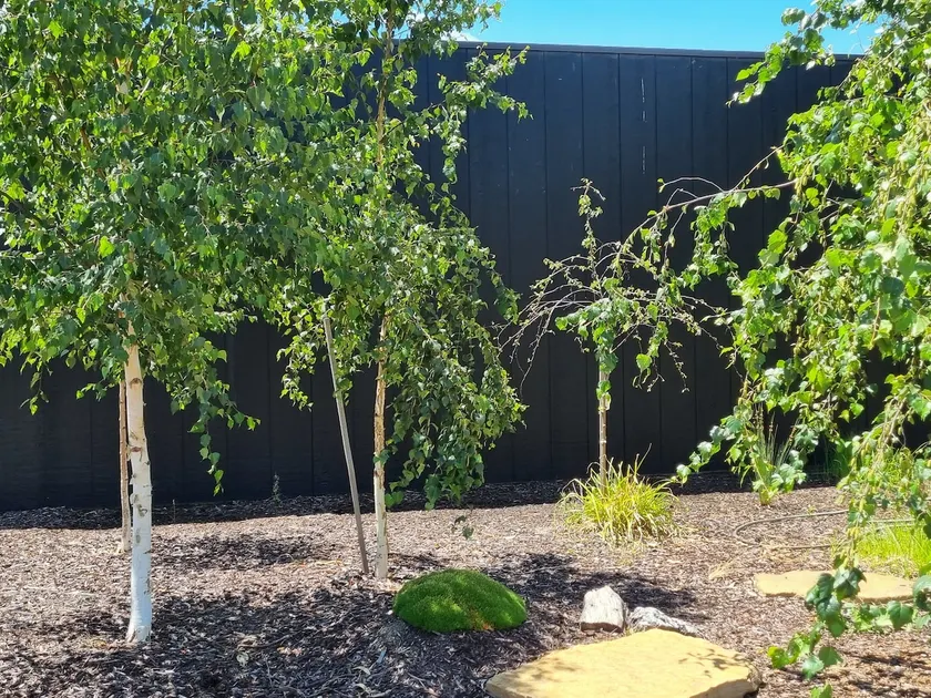 Stockmans Retreat Mansfield - Image 1