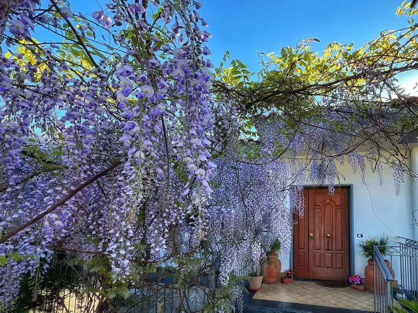 Marisol Vacation Home - Image 1