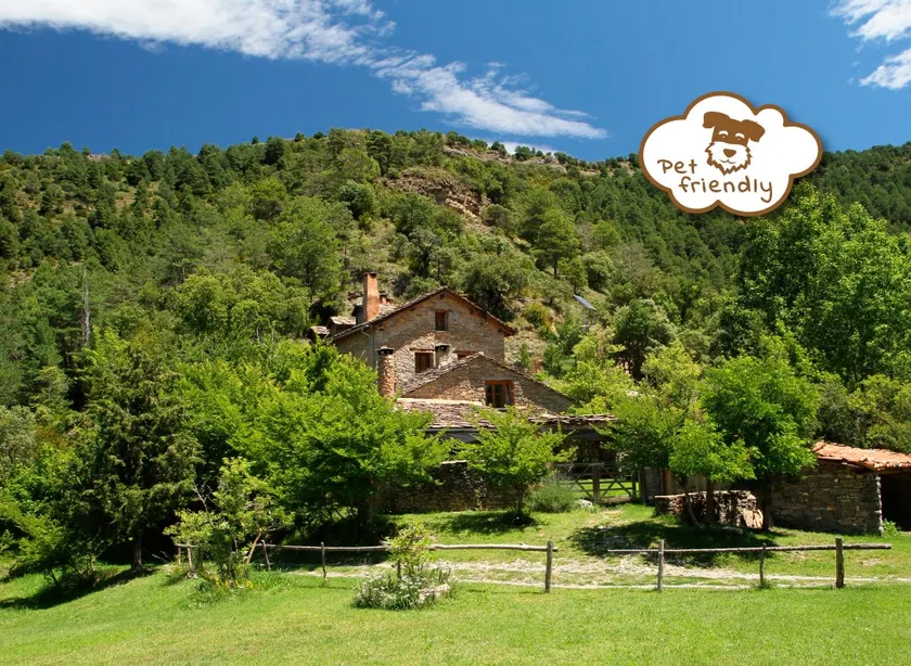Pegatera. Farmhouse surrounded by forest. Disconnect - Image 1