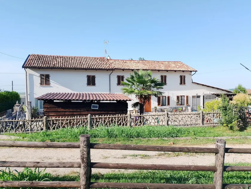 The vineyard - Image 1