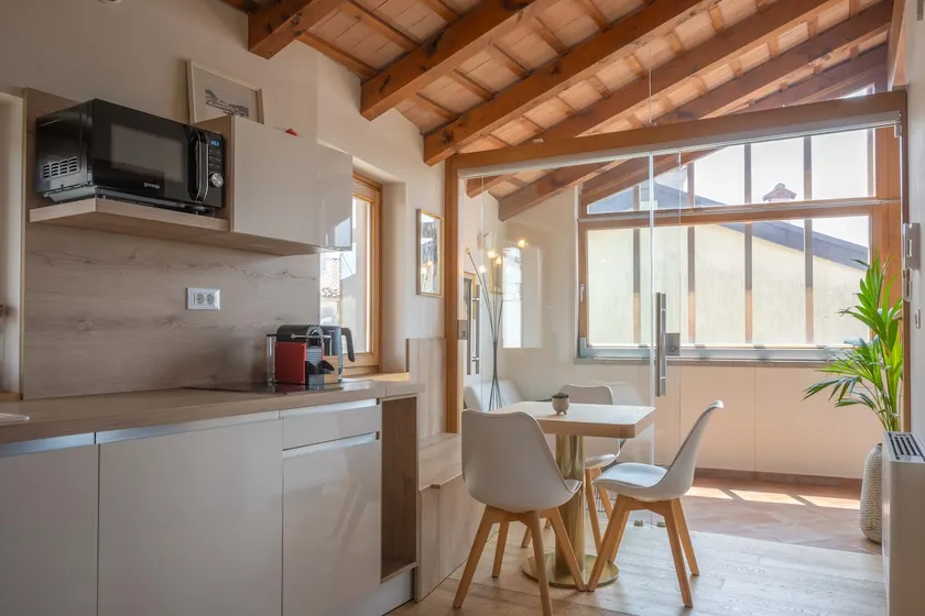 Suites Danica - Penthouse Apartment (2+1) - Image 1