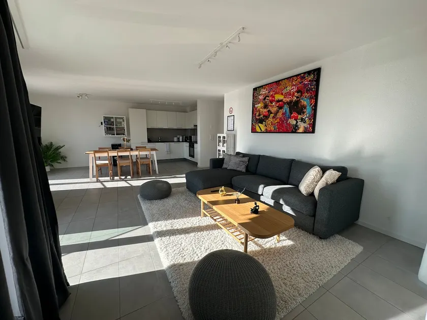Great apartment in Lausanne - Image 1