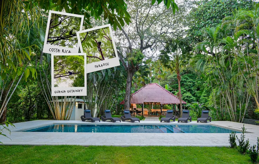 Guana Getaway Where Monkeys Come and Visit!? - Image 1