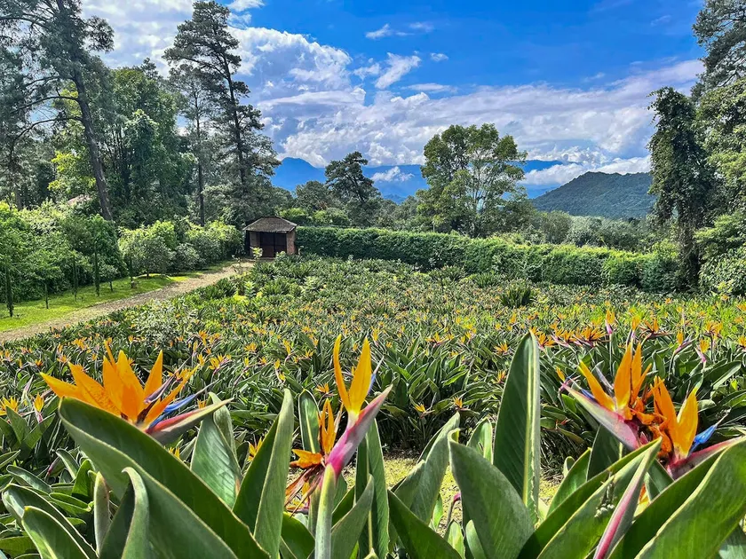 El Rincón del Paraiso / Valle de Bravo - Image 1