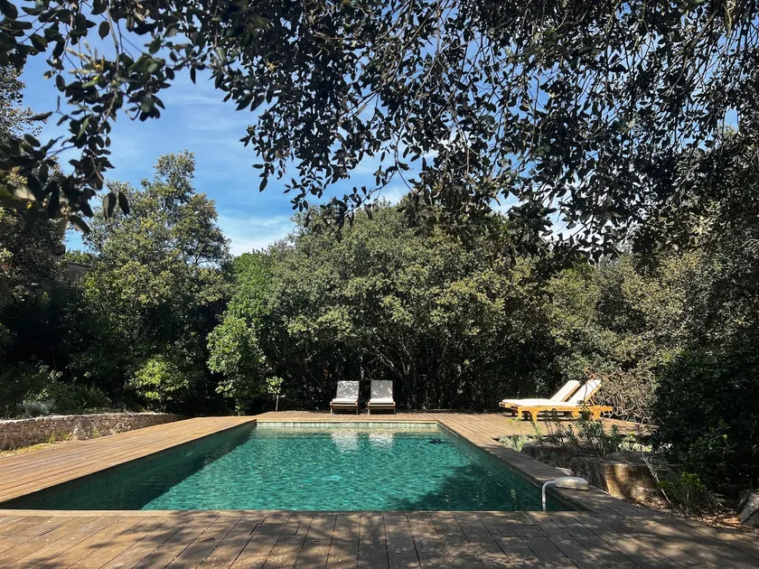 The Canopy Ecolodge 1 ”Turtledove” - Image 1