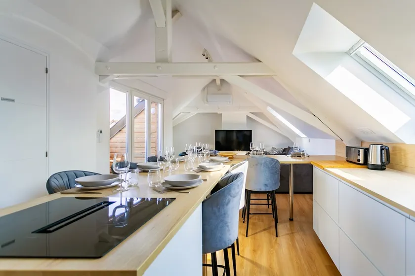 Beautiful duplex close to the center of Strasbourg. - Image 1