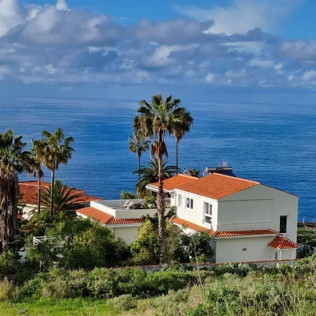 Oasis of peace over the sea - Image 1