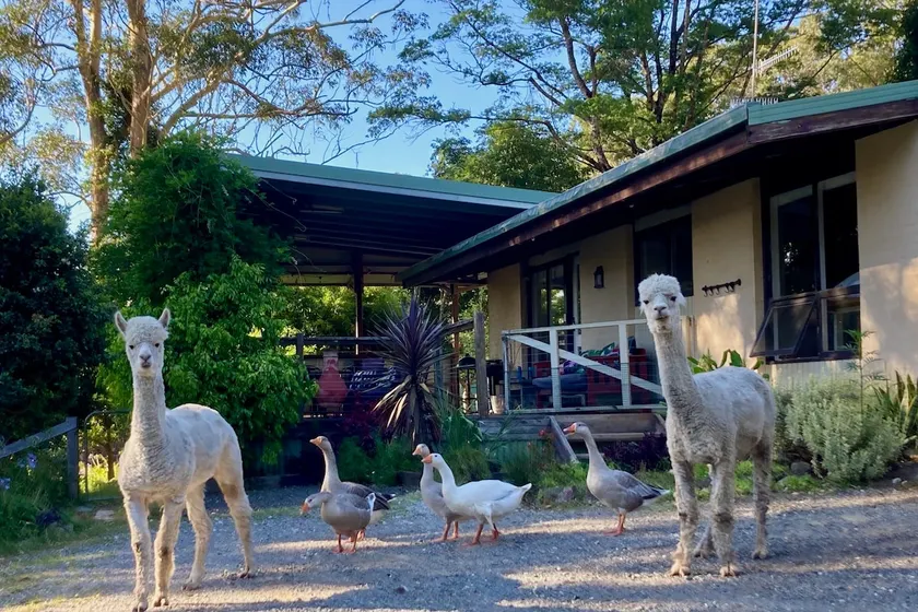 Tranquil farmhouse with sea view, dog friendly - Image 1