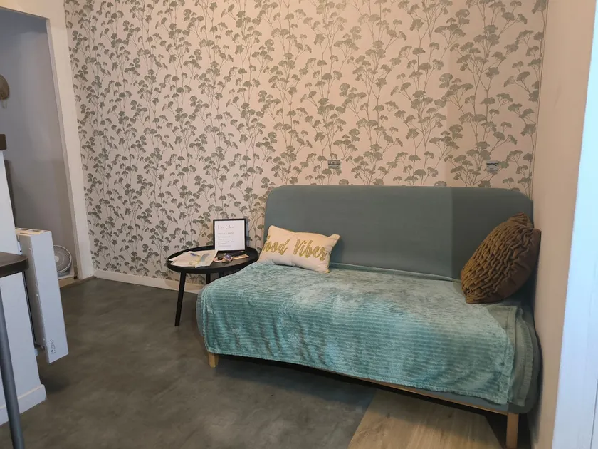 Cozy 1-bedroom apartment Villefranche-sur-Saône - Image 1