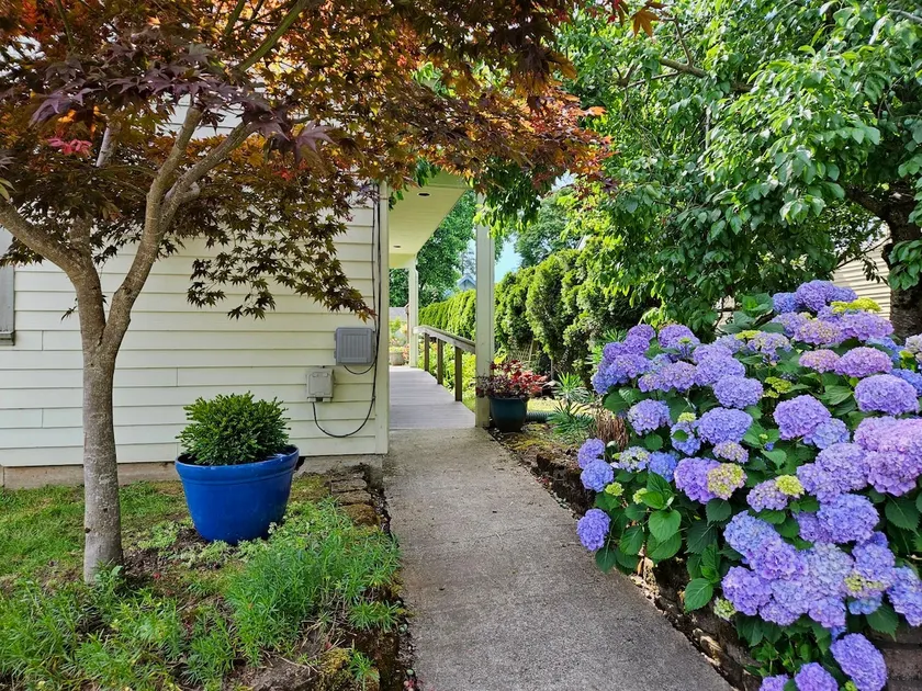 The Secret Garden - Image 1