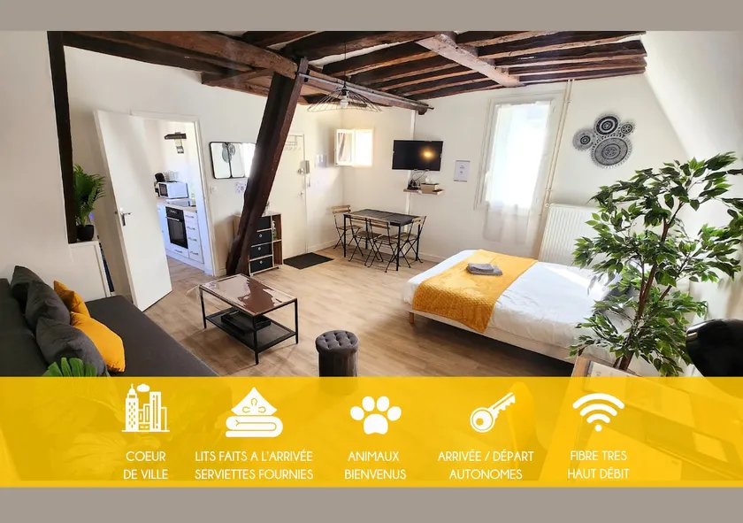 Etape Tourangelle - Large Studio in the Heart of the City - Image 1